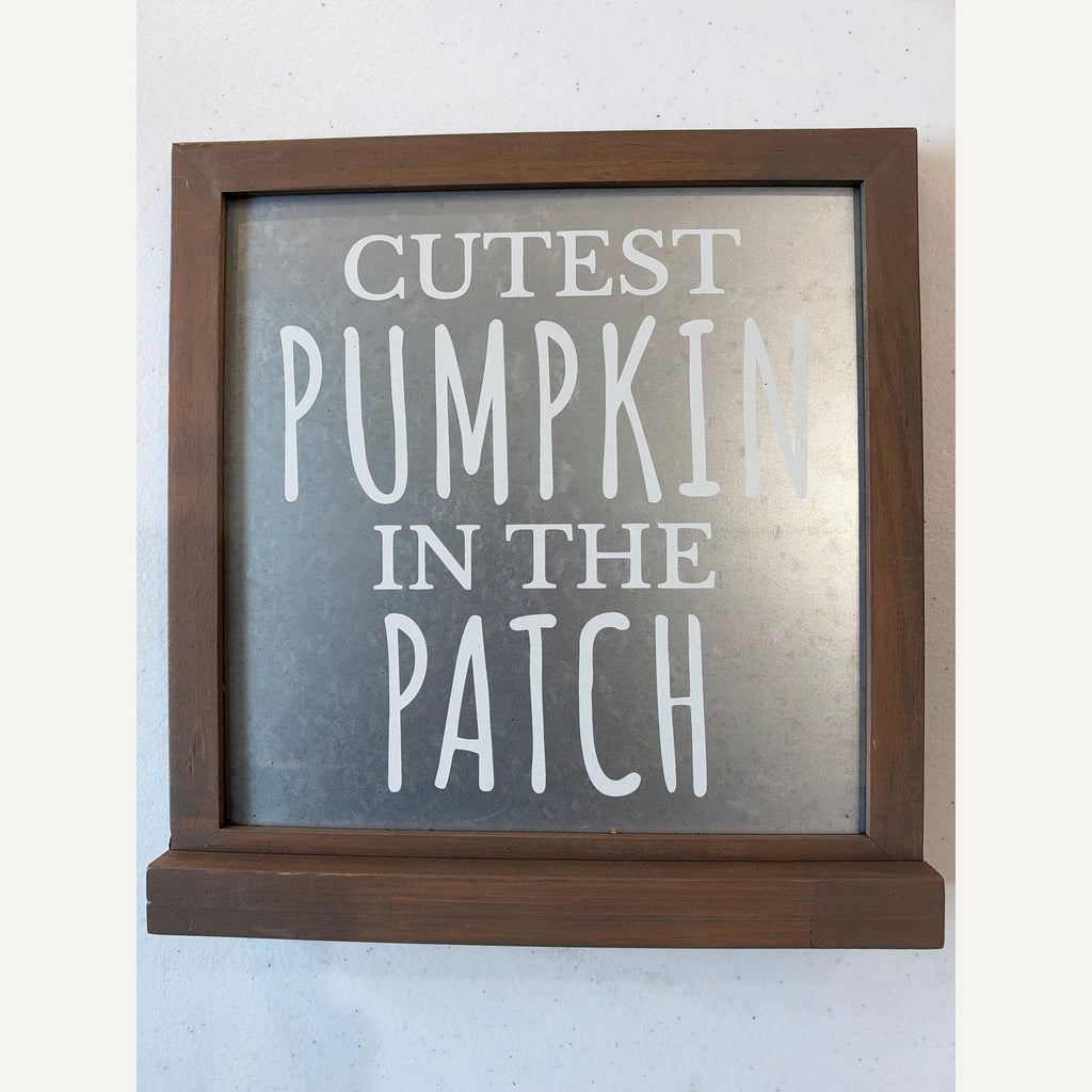 Cutest Pumpkin in the Patch white lettering on galvanized metal in a brown wood frame