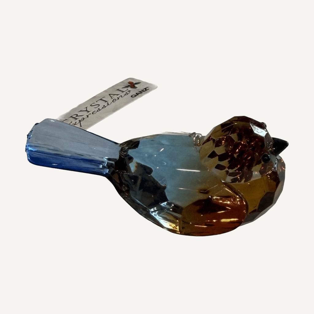 Side view of the blue and amber faceted songbird
