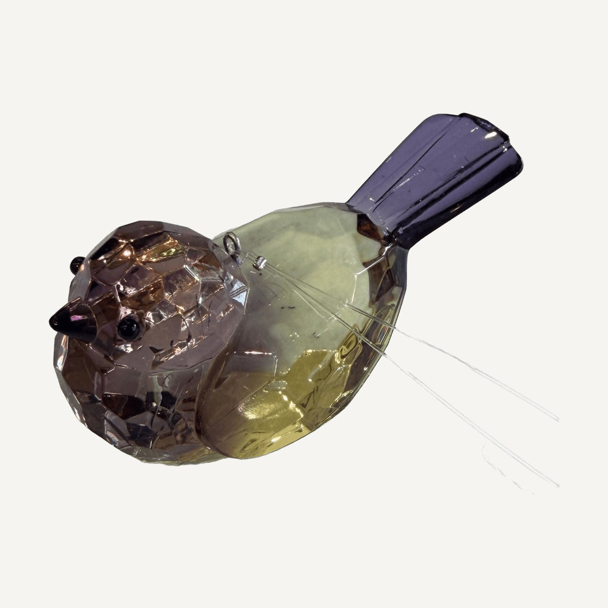 Purple and yellow crystal songbird with hanging line
