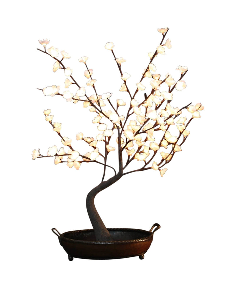 Bonsai LED Lighted Tree Utopianorthwest 