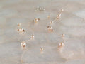 Freshwater Pearl Necklace Utopianorthwest 