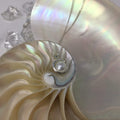 Freshwater Pearl Necklace Utopianorthwest 