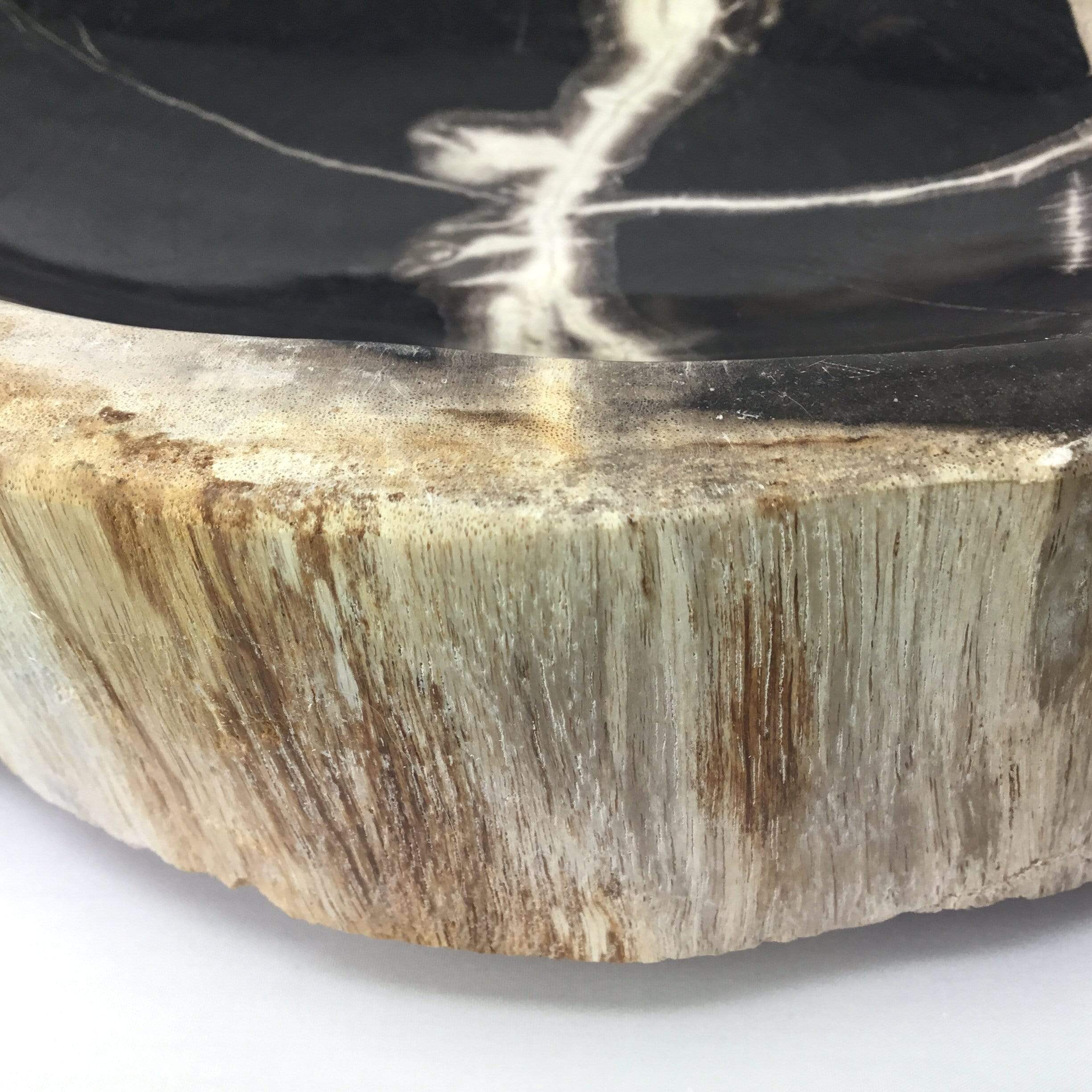 Petrified Wood Bowl Utopianorthwest 