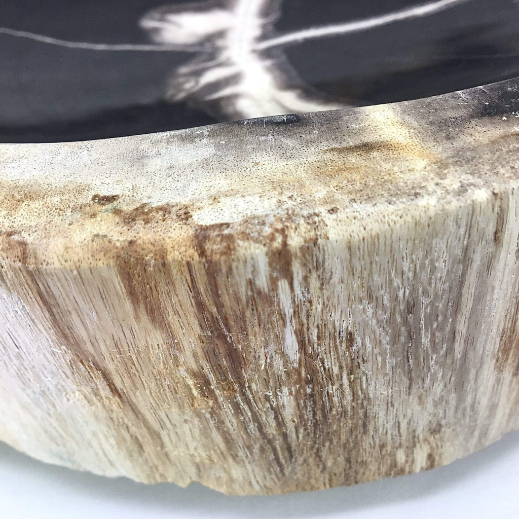 Petrified Wood Bowl Utopianorthwest 