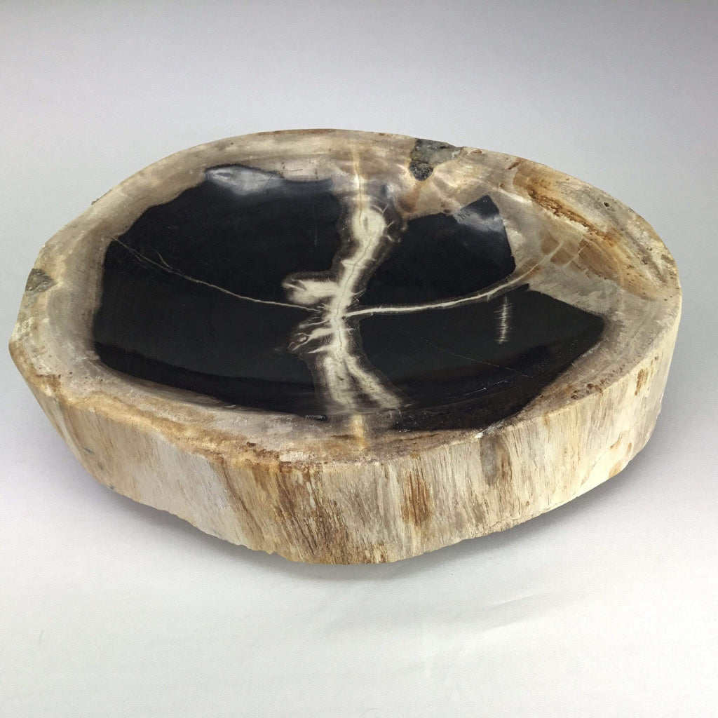 Petrified Wood Bowl Utopianorthwest 
